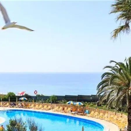 Daire Brilliant 1 Bedroom Portimão